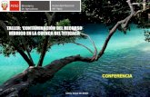 TALLER: ‘CONTAMINACIÓN DEL RECURSO HÍDRICO EN LA CUENCA ...portal.ana.gob.pe/sites/default/files/normatividad/files/5-_el... · hÍdrico en la cuenca del titicaca conferencia