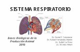 SISTEMA RESPIRATORIO 2010 [Modo de compatibilidad] 2010/clase 6 sistema... · aire que se dirige y proviene de los pulmones • Filtra impurezas • Humidifica el aire. ESTRUCTURA