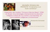 REUNIÓN TÉCNICA DEL PROYECTO “El derecho a un … Proyectos Actividad... · Expansión del modelo “Primera Infancia Mejor” (PIM) en Brasil: Una estrategia intersectorial de