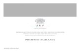 PROFESIOGRAMA - dgb.sep.gob.mx · PDF fileestablecimiento del Sistema Nacional de Bachillerato (SNB), teniendo como uno de sus ejes principales, contar con elementos para ... Profesional)