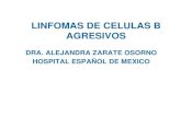 LINFOMAS DE CELULAS B - comanes.orgcomanes.org/reunionacademica_2011/CARPETAHEMATOMAYO2011/LI… · LINFOMAS DE CELULAS B • CELULAS B PEQUEÑAS – Leucemia linfocítica crónica