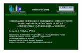 MODELACIÓN DE PROCESOS DE EROSIÓN / · PDF fileDepartamento de Hidráulica-EIC y CURIHAM – Área : Hidráulica Fluvial ... Flujo de sedimentos en ríos del Noroeste Argentino Basile