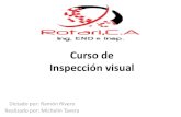 Curso de Inspección visual - · PDF file1. Introducción 2. Términos Básicos de la Inspección Visual 3. Principios de la Inspección Visual y óptica Descripción de la Inspección
