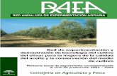 Red de experimentación y demostración de tecnología del ... · PDF fileen la producción de fruto (34,14 Kg/olivo), ... Sevilla', 'Blanqueta' y ‘Acebuche'.El diseño es totalmente
