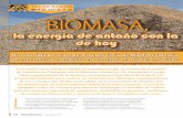 Biomasa BIOMASA, - · PDF fileBiomasa Un recorrido por ... de muy alta gama, de dimensión doméstica o asistencial, ... gracias al carácter piloto del proyecto, próximamente en