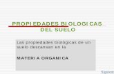 PROPIEDADES BIOLOGICAS DEL SUELO - RRNN20111.pdf · y reserva de las plantas y la pared ... Mucopolisacáridos aportados por las bacterias y por las paredes celulares de los ... sus