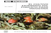 EL CU LTIVO EXTENSIVO DEL Núm. 9180-HD PIMIENTO · PDF filededican en Andalucía a esta producción, es decir, pobre en ma-teria orgánica, ... trógeno en forma de urea o de nitrato