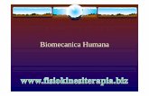 Biomecanica Humana - Fisiokinesiterapia Humana.pdf · Mecanica Dinamica ... Áreas da Mecánica Aplicada-Mecánica de los cuerpos rígidos-Estática - Dinâmica-Cinemática-Cinética