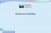Violencia familiar - · PDF fileAlgunas cifras 26,463 personas acudieron para solicitar información o ser atendidas como probables receptoras o generadoras de violencia familiar durante