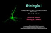 Mendoza, L. et al., Biología I Examen Bloque 3. Biología ... · PDF fileExamen del bloque 3: Biología celular D.R. 2011, Luis Antonio Mendoza Sierra ... E. 1, 2, 3 y 4 1. Núcleo