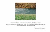 Impactos ambientales del riego: La transformación de la ... · PDF fileen satisfacción de los requisitos para optar ... riego y eficacia ... en varios aspectos ya que han sido desarrollados