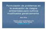 Formulación de problemas enFormulación de problemas · PDF fileFormulación de problemas enFormulación de problemas en la evaluación de riesgos ambientales para cultivos ... Ejemplos