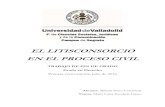EL LITISCONSORCIO EN EL PROCESO CIVIL - …uvadoc.uva.es/bitstream/10324/17975/1/TFG-N.406.pdf · 3.1. La capacidad procesal ... Tratamiento procesal del litisconsorcio voluntario