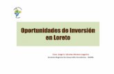 Oportunidades de Inversión en Loreto - · PDF filehoras del día. BIONEGOCIOS •Loreto tienen una Alta biodiversidad 17,144 plantas superiores, 513 ... una de las 7 maravillas naturales