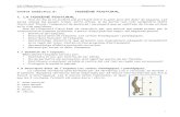 higiene postural - pedro zierof · PDF fileU.D. 6 Higiene Postural Educació Física E.S.O