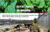 Presentación de PowerPoint - · PDF fileINDICE A. Introducción Historia Tipos Legislación Huertos en Madrid Gestión socioeconómica Comparativa huerto urbano y rural B. Seguridad