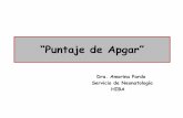 “Puntaje de Apgar - · PDF file• En 1952, la Dra. Virginia Apgar ideó un sistema de puntuación para evaluar el estado clínico del recién nacido al 1 minuto de vida y la necesidad
