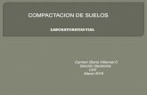 COMPACTACION DE SUELOS -  · PDF fileCOMPACTACION DE SUELOS Carmen Gloria Villarroel C Sección Geotecnia LNV Marzo 2016 LABORATORISTAS VIAL