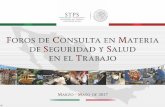La Secretaría del Trabajo y Previsión Social, a través de lasprevencionar.com.mx/media/sites/3/2017/03/FOROS-CONSULTA-SEGU… · 1RUHVWH 0RQWHUUH\ 1XHYR/HyQ y de PD\R de 2017.