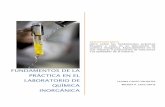 FUNDAMENTOS DE LA PRÁCTICA EN EL LABORATORIO micaInorgánica.pdf · PDF filePRACTICA 10. Celdas ... CUESTIONARIO 1.- ... Fundamentos de la Práctica en el Laboratorio de Química