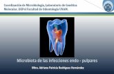 Presentación de PowerPoint - Universidad Nac · PDF fileCampylobacter rectus Peptostreptococcus anaerobius Solobacterium moorei Catonella morbi Peptostreptococcus stomatis Streptococcus