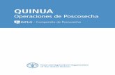 Quinua: Operaciones de Poscosecha - fao. · PDF fileLos principales importadores de la quinua peruana en el año 1996 en orden de importancia fueron: Japón que representó el 42%