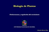 Fitohormonas y regulación del crecimiento · PDF fileMicronutrientes: elementos químicos necesarios en pequeñas cantidades Cloro Cl Hierro Fe Boro B Manganeso Mn Sodio Na Zinc Zn