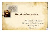NerviosCranealesRev [Modo de compatibilidad] · PDF fileNervios Craneales • 12 pares asociados al encéfalo. • Primeros dos pares se originan del ... – Lleva impulsos de yemas