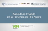 Agricultura Irrigada en la Provincia de Río Negro - fao. · PDF file• Diseño de obras de obras de riego y drenaje • Validación de indicadores 1. ... 10 Tecnologías de Aplicación