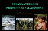 ÁREAS NATURALES PROTEGIDAS AMAZÓNICAS - · PDF filePERÚ: PAÍS MEGADIVERSO Miryan García Donayre Directora de Planeamiento de ANP Cordillera nevada más grande de los trópicos:
