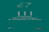 Preguntas sobre Concesiones de Autopistas en Méxicodictyg.fi-c.unam.mx/~disyp/lecturas/111preguntas.pdf · contenido pregunta pÁgina 1. caracterÍsticas del esquema 1 1.1 ¿en quÉ