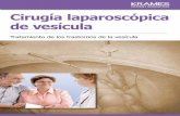 Cirugía laparoscópica de vesícula (PDF) · PDF fileComprender la vesícula . La vesícula es un órgano pequeño con forma de pera en el abdomen. Su función es almacenar y liberar