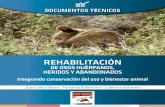 REHABILITACIÓN - fundacionosopardo.orgfundacionosopardo.org/wp-content/uploads/2016/03/osos-huerfanos... · Integrando conservación del oso y bienestar animal ... huérfanos y heridos.