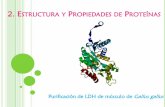 2. Estructura y Propiedades de Proteínas · PDF filediferencia previene la pp isoeléctrica, por el mantenimiento de cargas ... iónicas entre las proteínas y las pérdidas por pp.