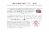 APARATO CIRCULATORIO - lcc.uma.esjlleivao/tic4eso/WORD4ESOP7.pdf · Componentes del aparato circulatorio: CORAZÓN El corazón es el órgano principal del sistema circulatorio. Es