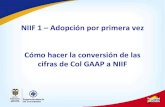 NIIF 1 – Adopción por primera vez Cómo hacer la conversión ... · PDF filesaldos locales a NIIF IFRS ... Deudores 73.600 10.200 25.165 58.635 ... Otros activos - obras de arte