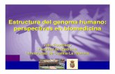 Estructura del genoma humano: perspectivas en …segenetica.es/curso_g_humana/ESCRIBANO_Julio.pdf · 1- El proyecto Genoma Humano. 2- Estructura molecular del Genoma Humano. 3- Variación