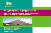 Protegiendo y Fomentando el Uso Consuetudinario de los ... · PDF fileLa presencia del Estado venezolano es ... (siendo el primer grupo ... literatura como de los conocimientos tradicionales