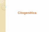 Presentación de PowerPoint · PDF fileAberraciones cromosómicas Numéricas Causas: • No-disyunción • Retraso cromosómico en Anafase ANEUPLOIDIAS CAMBIOS EN EL NUMERO DE UNO