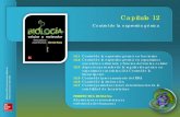 Presentación de PowerPoint - Novellanovella.mhhe.com/sites/dl/free/000001171x/1040124/KARP_7a_c12... · Aberraciones cromosómicas y enfermedades humanas . McGraw-Hill Interamericana