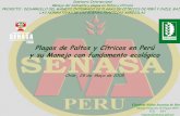 Plagas de Paltos y Cítricosen Perú y su Manejo con ... · PDF fileEl MIPeconsidera al cultivo como parte de una comunidad ... Manejo Integrado de Plagas Control Biológico ... en