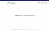 INFORME CONSOLIDADO - contenidos.ccira.clcontenidos.ccira.cl/notas/ficheros/14-11-2016_12-26-25_28043740.pdf · En este documento se recogen visiones generales y específicas ...