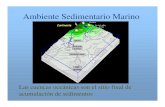 Ambiente Sedimentario Marino - usuarios.geofisica.unam.mxusuarios.geofisica.unam.mx/cecilia/cursos/AmbSedMar.pdf · Mar profundo Abanicos abisales, sedimentos pelágicos Agente: precipitación