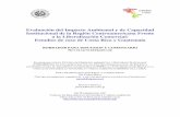 Impacto ambiental y liberalizacion comercial - oas. · PDF file2.2.5 Medidas ambientales incluidas en el TLC de Centroamérica con Estados Unidos: ... 3.5.1 Normas en relación con