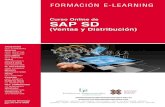 Curso Online de SAP SD - Iniciativas · PDF fileinformático para planificar los recursos de las compañías. SAP está compuesto por ... Corresponde a todas las ... así como las