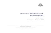 Práctica Profesional Supervisada - lab.nqnwebs.comlab.nqnwebs.com/descargas/informe_practica_supervisada0.3.pdf · Informe Final Martín Gaitán ... basales de la empresa, las aspiraciones