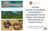 VISIÓN: HACIA UN MANEJO INTEGRADO Y …caribbeanlcc.org/wp-content/uploads/2014/12/Sec.-Guerrero... · 27% terrenos públicos en humedales (9.7%) PLAN DE USOS DE TERRENOS DE PR >30%