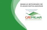 MANEJO INTEGRADO DE PLAGAS EN PALMA DE ACEITEgrepalma.org/site/sanidadvegetal/pdf/d1/D1-C8.pdf · PLAGAS DE MAYOR IMPORTANCIA ... MANEJO INTEGRADO DE PLAGAS 1.Manejo del agroecosistema