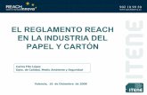 EL REGLAMENTO REACH EN LA INDUSTRIA DEL …ecoforo.cev.es/web-cev/WCEV.nsf/(All... · en más de 300 usos ... pasta de papel que seráutilizada en la industria para ... •Información