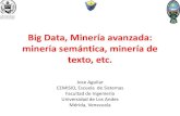Big Data, Minería avanzada: minería semántica, minería de ... · PDF fileBig Data, Minería avanzada: minería semántica, minería de texto, etc. Jose Aguilar CEMISID, Escuela